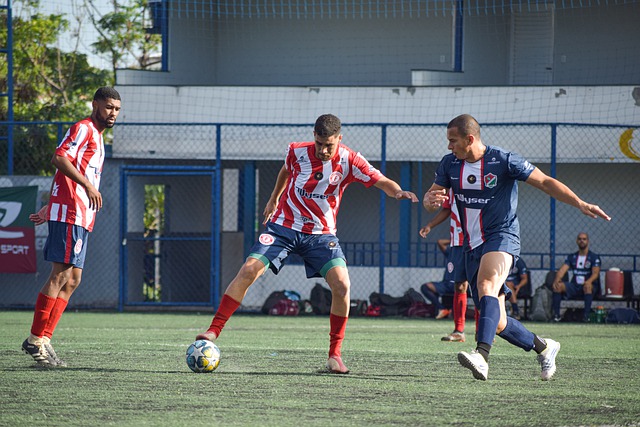 仅仅是球网 仅仅是球网